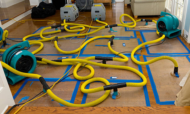 Professional Basement Flood Cleanup technician working in Bonlee, NC
